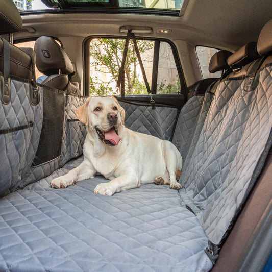 Hard Bottom Dog Car Seat + FREE Dog Seatbelt